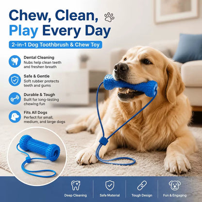 Pet Teeth Grinding and Brushing Stick