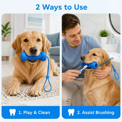 Pet Teeth Grinding and Brushing Stick