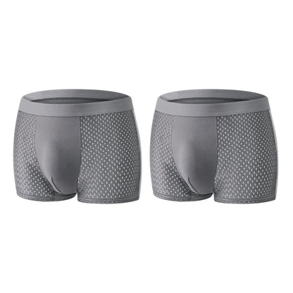 2026 HOT SALE🔥 Premium Leakproof lceSilk Mesh Men's Boxer