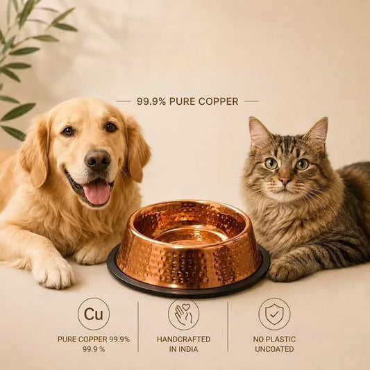 Auremod™ 99.9% Pure Copper Bowl for Dogs & Cats