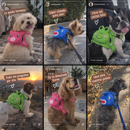 Mochila para Perros
