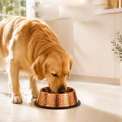 Auremod™ 99.9% Pure Copper Bowl for Dogs & Cats