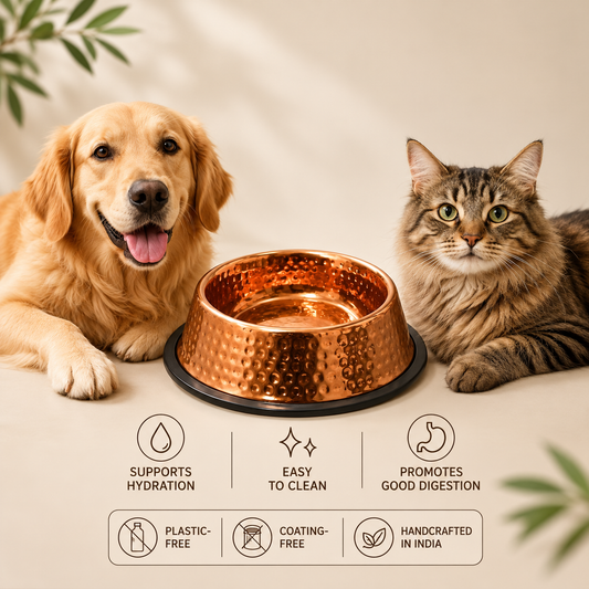 Auremod™ Premium Hammered Copper Pet Bowl – Elegant Design & Non-Slip Base