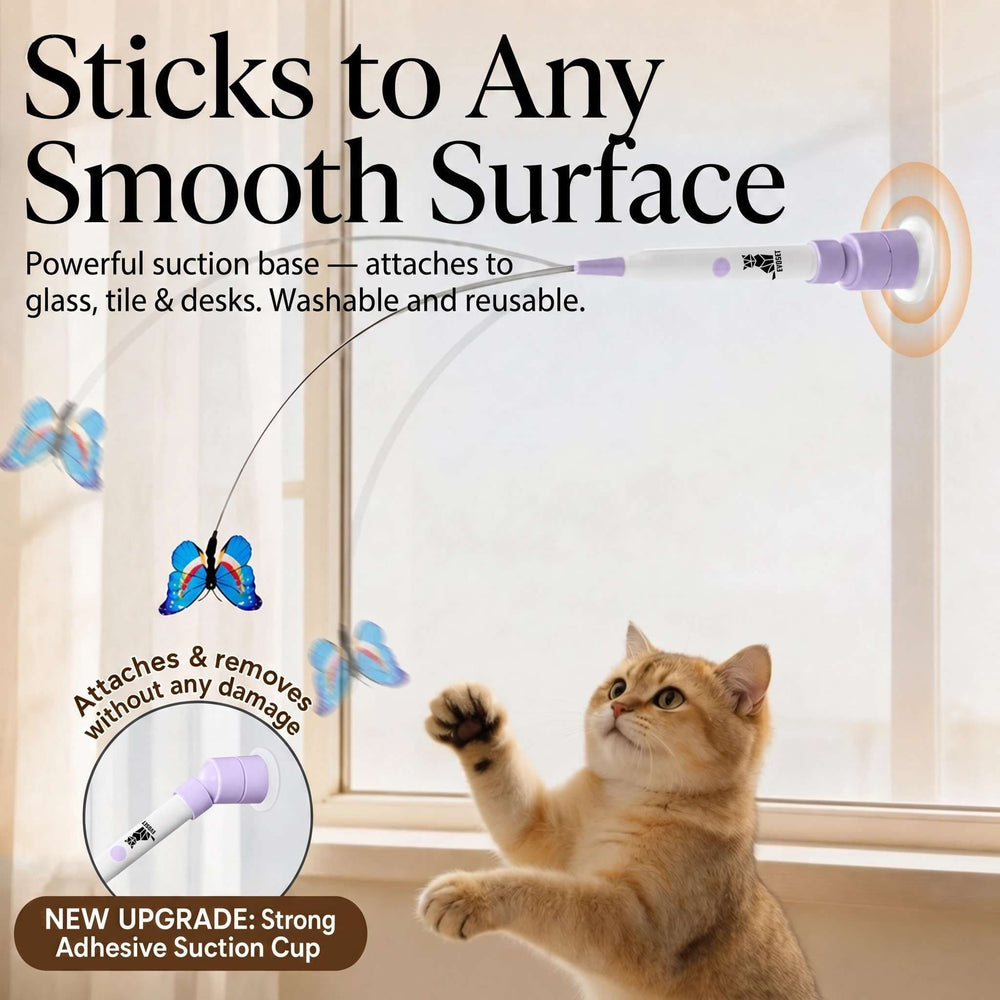 Automatic butterfly cat toy