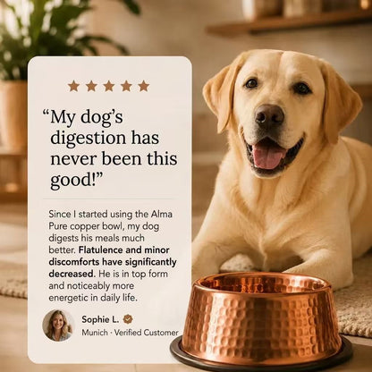 Auremod™ 99.9% Pure Copper Bowl for Dogs & Cats