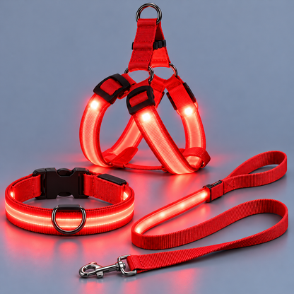 Auremod LED Night Full Walk Kit
