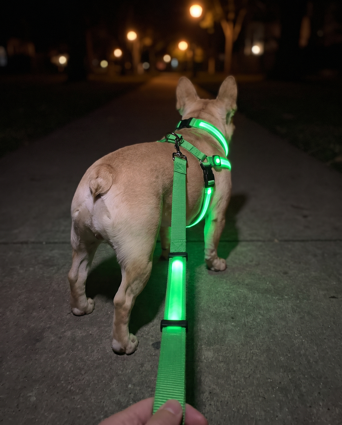 Auremod LED Night Full Walk Kit