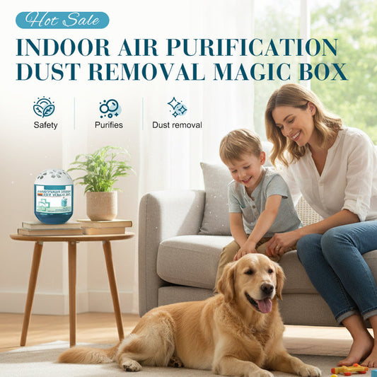 Indoor Air Purification Dust Removal Magic Box🏠🌿